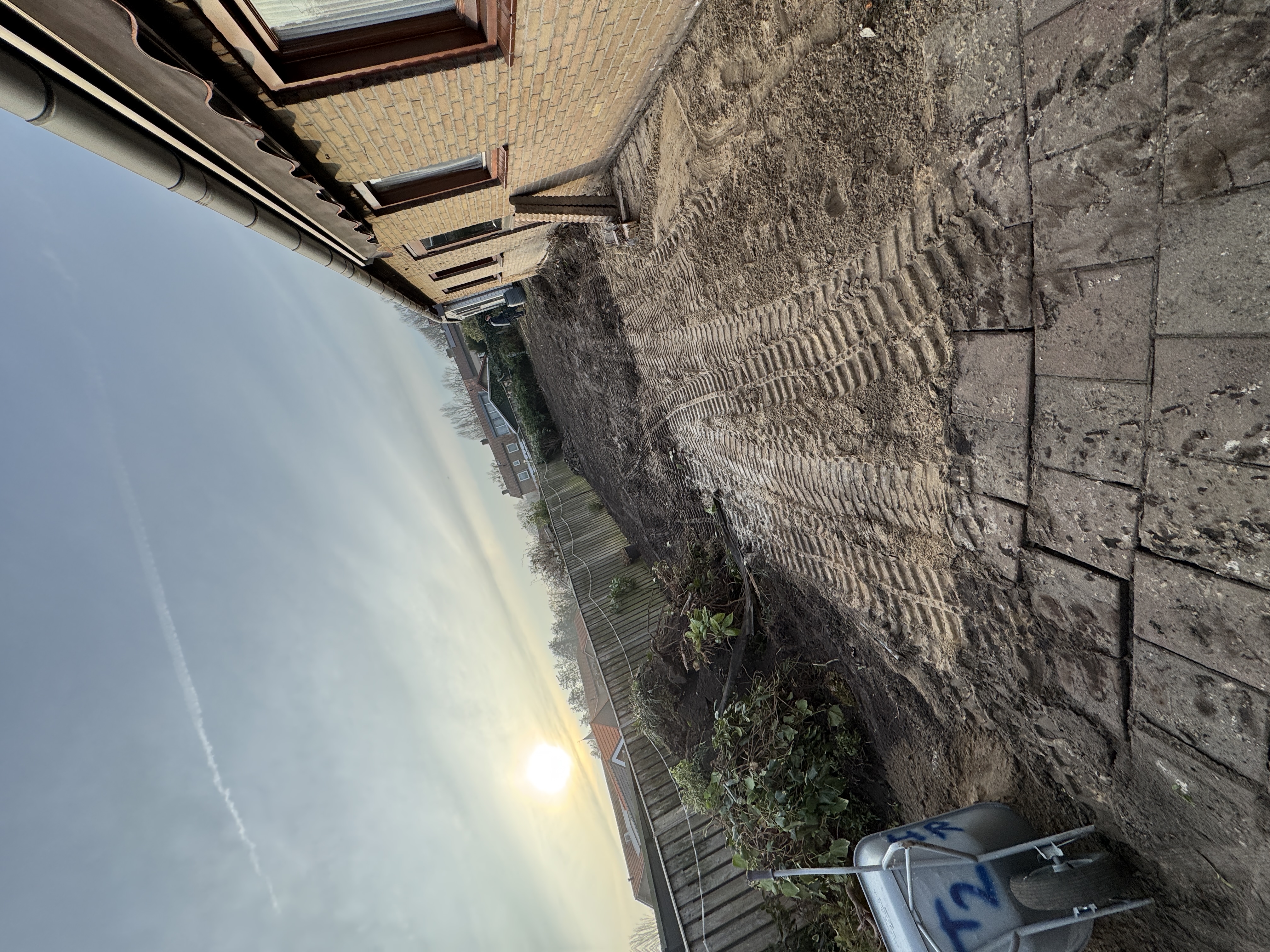 Opschonen en voorbereiden tuin - Tuinaanleg project foto